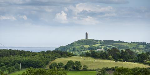 Scrabo Tower